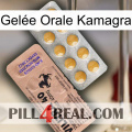 Gelée Orale Kamagra 41